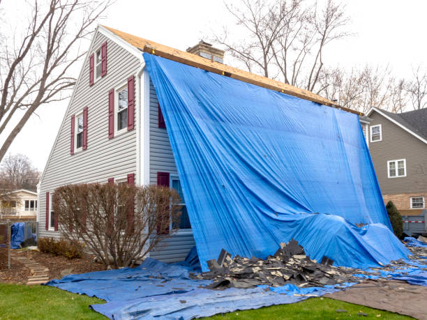 Best Demolition Debris Removal  in Chinook, MT