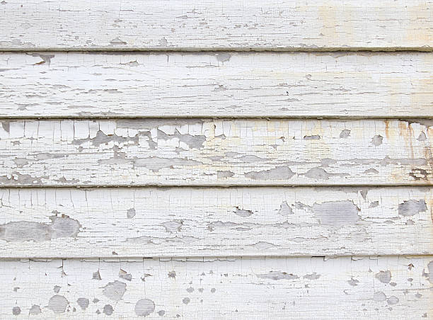 Best Carpet Removal and Disposal  in Chinook, MT